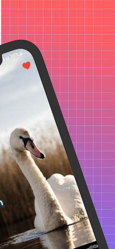 Water Reflection Photo Effects - screenshot 2