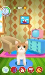 Talking Cat - screenshot 2