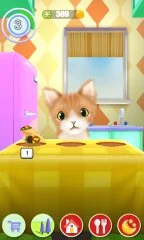 Talking Cat - screenshot 3