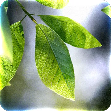 Fresh Leaves MOD APK icon