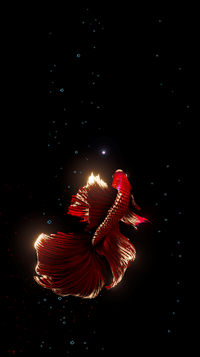 BETTA 120HZ - screenshot 1