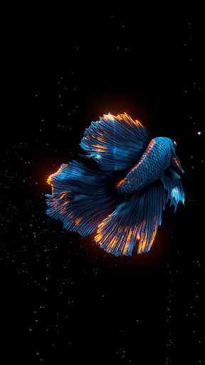 BETTA 120HZ - screenshot 2