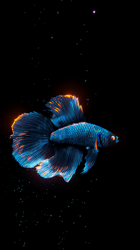 BETTA 120HZ - screenshot 5