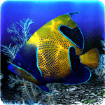 My 3D Fish II - app icon