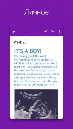 OneNote - screenshot 4