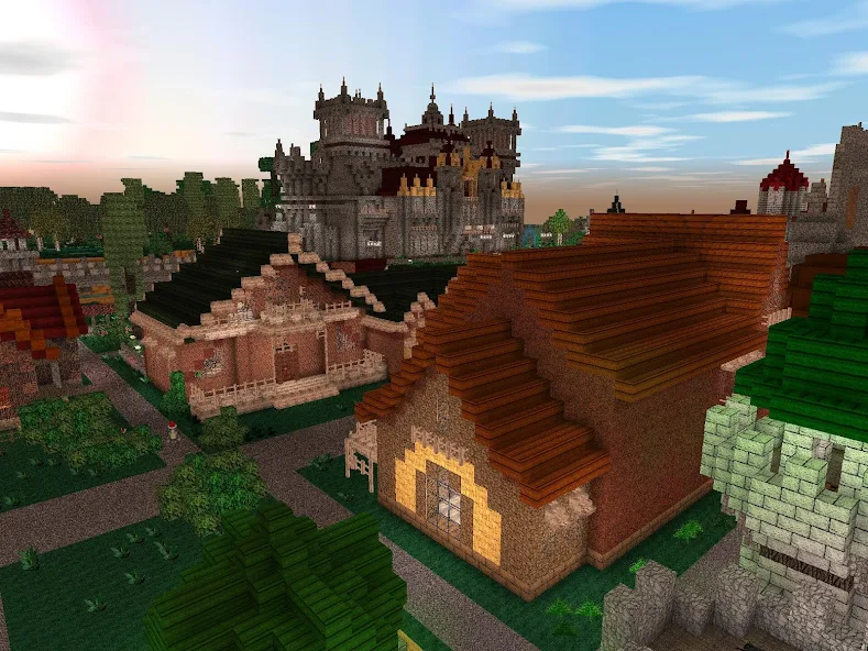 Block Story Premium - screenshot 14