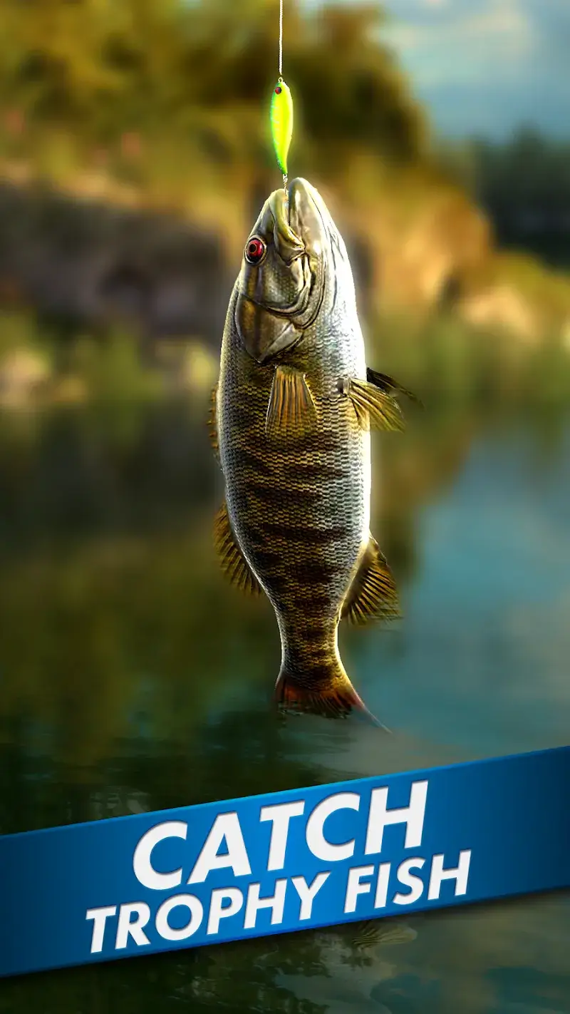 Go Fishing - screenshot 1