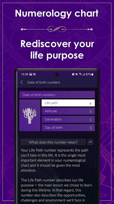 Numerology Rediscover Yourself APK - screenshot 3