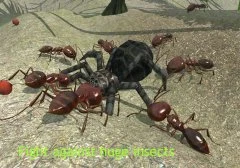 Ant Simulation 3D - screenshot 2