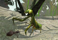Ant Simulation 3D - screenshot 3