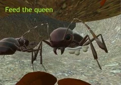 Ant Simulation 3D - screenshot 4