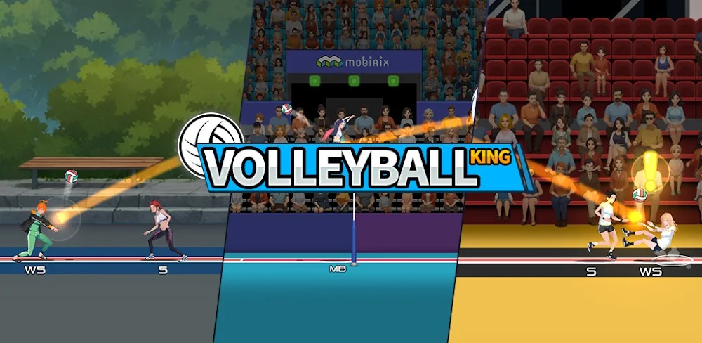 VolleyBall King APK MOD APK icon