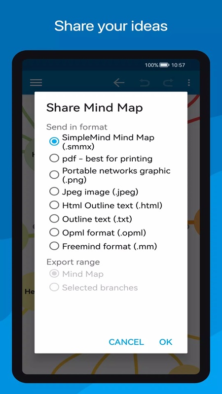SimpleMind Pro - screenshot 5