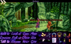 Simon the Sorcerer - screenshot 2