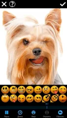 Mug Life - 3D Face Animator - screenshot 1