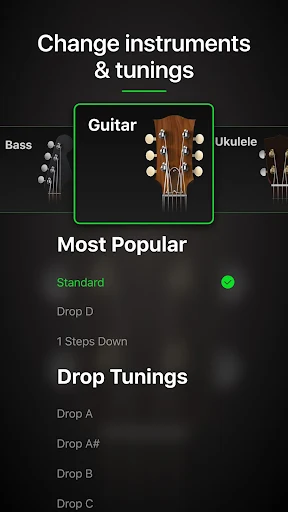 Guitar Tuner Pro APK 1.30.00 - screenshot 5