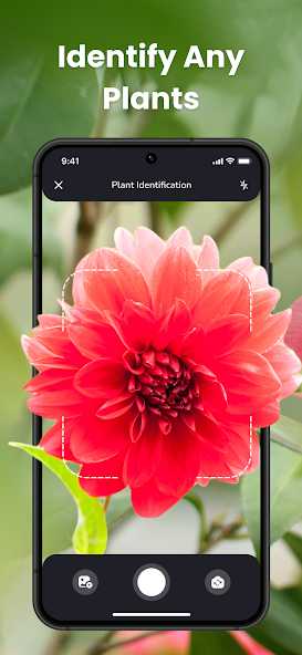 PlantIn Plant Identifier - screenshot 1