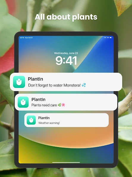 PlantIn Plant Identifier - screenshot 16