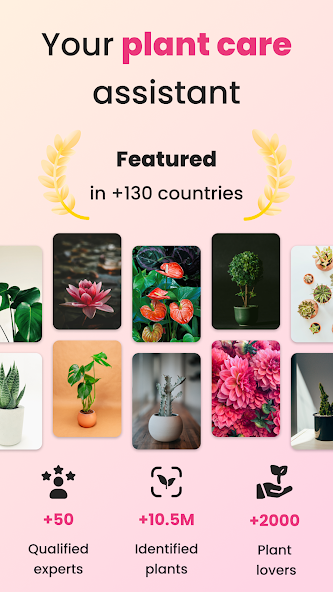 PlantIn Plant Identifier - screenshot 20