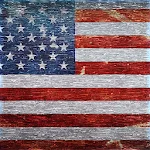 Blood of Patriots - Trump vs Nancy MOD APK icon