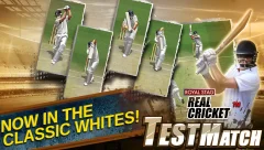 Real Cricket™ Test Match - screenshot 2