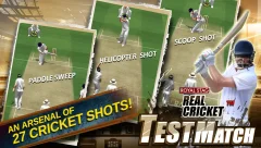 Real Cricket™ Test Match - screenshot 3
