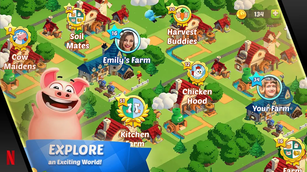 Country Friends - screenshot 3