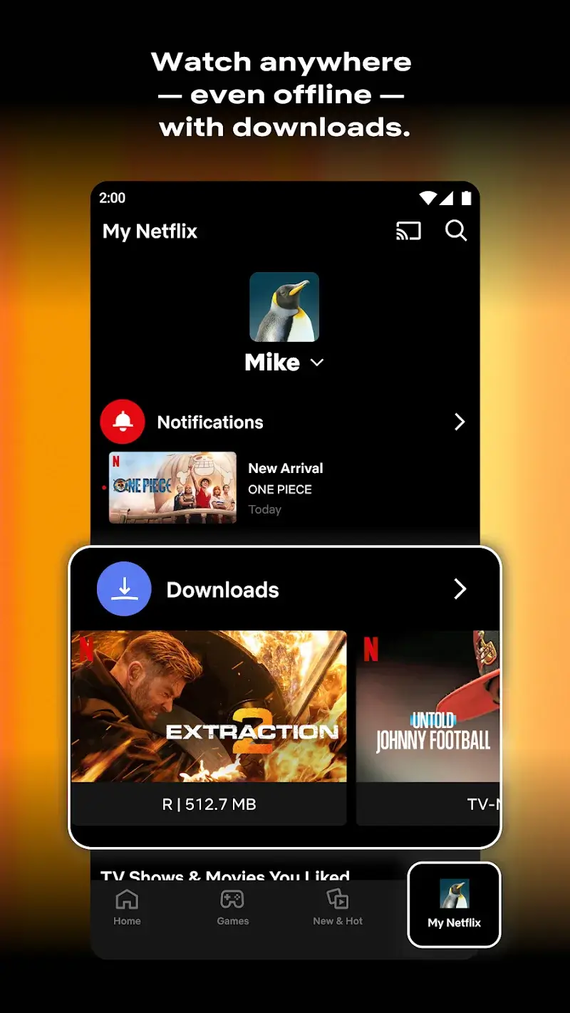 Netflix - screenshot 2