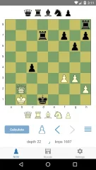 Next Chess Move - screenshot 2