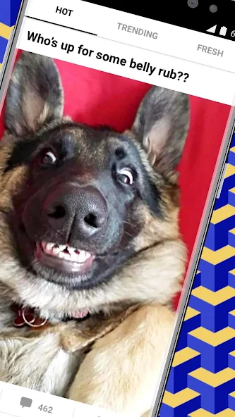 9GAG: Best LOL Pics & GIFs 😂 - screenshot 2