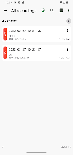 ASR Voice Recorder - screenshot 3