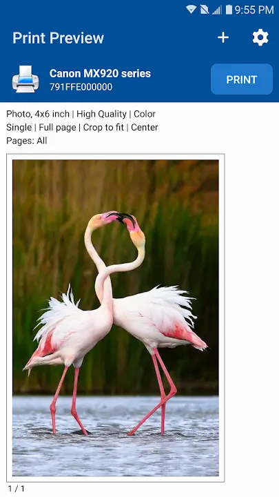 NokoPrint - screenshot 1