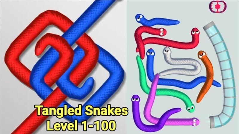 Tangled Snakes APK MOD APK icon