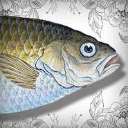 Странное Приключение Голавля MOD APK icon