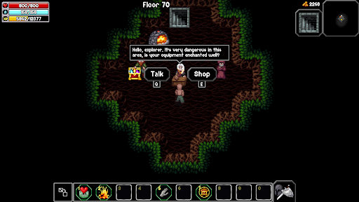 The Enchanted Cave 2 - screenshot 2