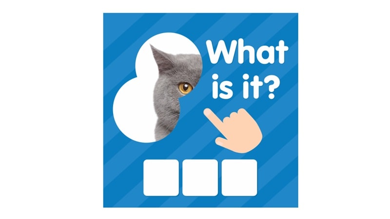 101 Pics APK - app icon