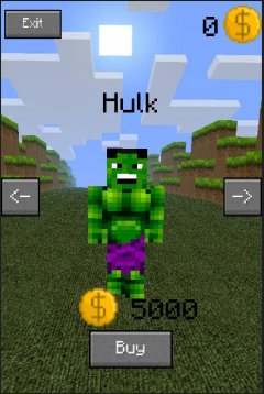 Craft Heroes Run - screenshot 4