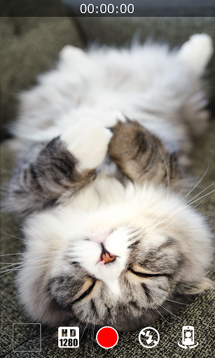 Silent Video Camera 8.0.1 APK MOD (Premium Unlocked) - screenshot 6