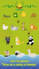 #For_rest : healing in forest - screenshot 3