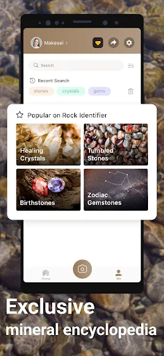 Rock Identifier - screenshot 4