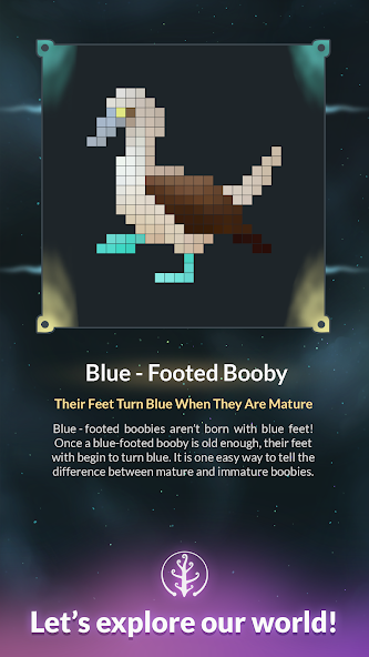 Life: Color Nonogram - screenshot 10