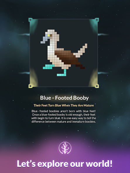 Life: Color Nonogram - screenshot 15