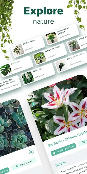 Plant ID: Plant Identification - screenshot 10