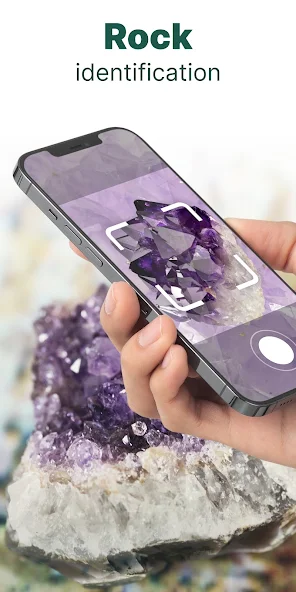 Plant ID: Plant Identification - screenshot 11