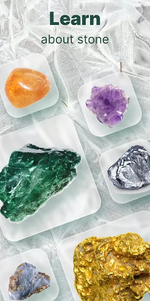 Plant ID: Plant Identification - screenshot 12