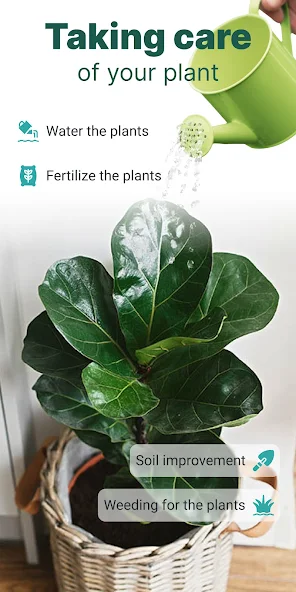 Plant ID: Plant Identification - screenshot 15