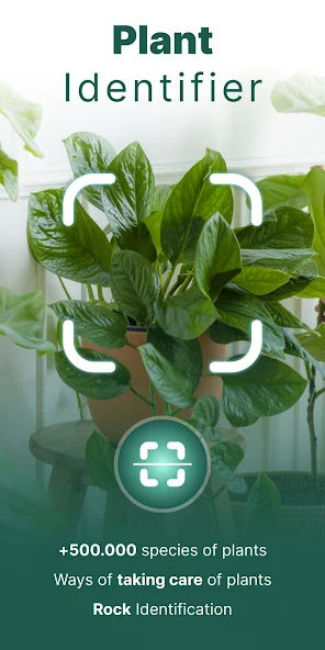 Plant ID: Plant Identification - screenshot 7