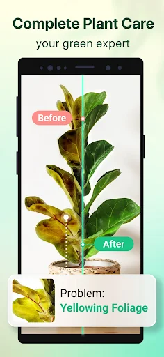 Plant Parent - screenshot 2
