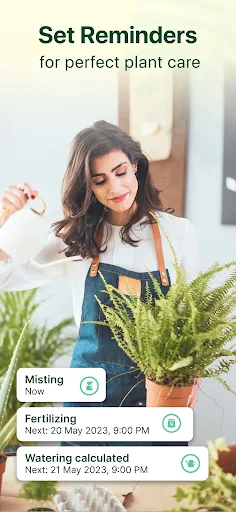 Plant Parent - screenshot 3