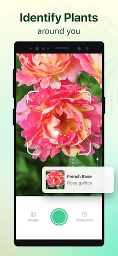 Plant Parent - screenshot 4